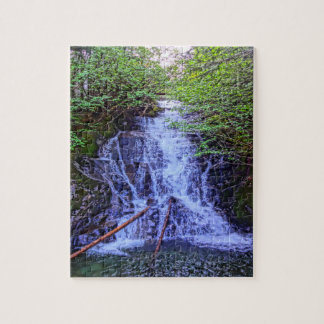 A Alaskan waterfall puzzle