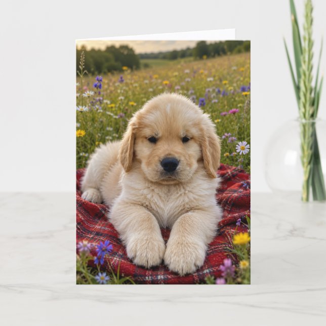 A&B Blank Greeting #3 Card (Front)