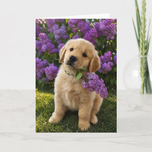 A&B Blank Greeting Card #4a