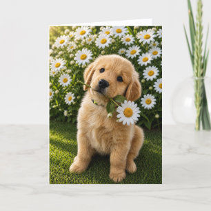A&B Blank Greeting Card #4c