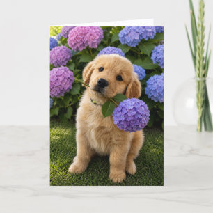 A&B Blank Greeting Card #4d