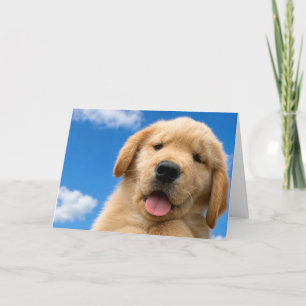 A&B Blank Greeting Card #7