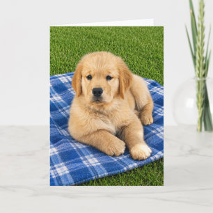 A&B Thank You Greeting Card #9
