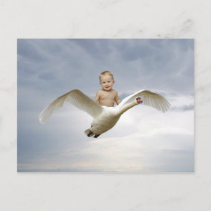 A baby and the swan sky postcard