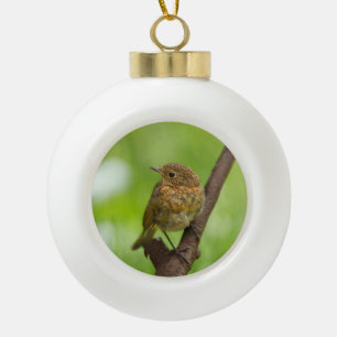 A Baby Robin Perched On A Branch Ceramic Ball Christmas Ornament