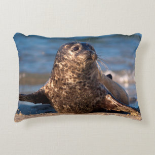 A baby seal coming ashore in Children's Pool Decorative Pillow