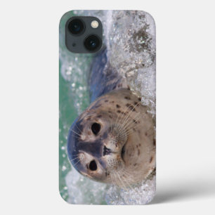 A baby seal surfing iPhone 13 case