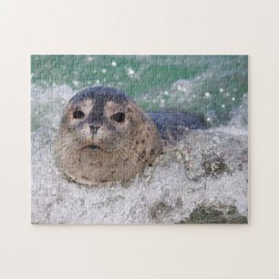 A baby seal surfing jigsaw puzzle