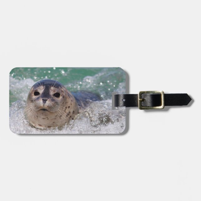 A baby seal surfing luggage tag (Front Horizontal)