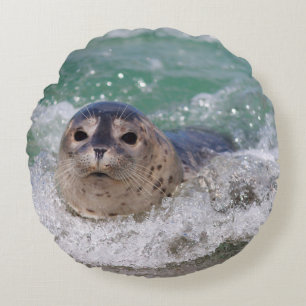 A baby seal surfing round pillow