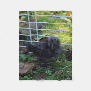 A Baby Silkie Fleece Blanket
