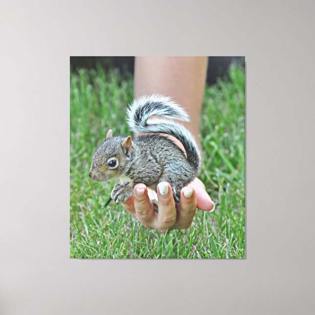 A Baby squirrel in a woman’s hand Canvas Print (Front)