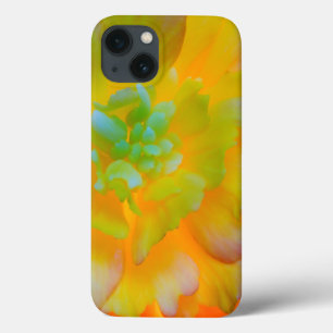 A back-lit, glowing begonia blossom iPhone 13 case