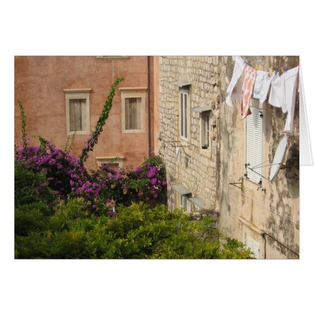 A Backyard in Dubrovnik (Front Horizontal)