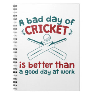 A Bad Day of Cricket Better than Good Day at Work  Notebook