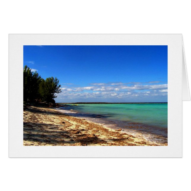 A Bahama Moment (Front Horizontal)