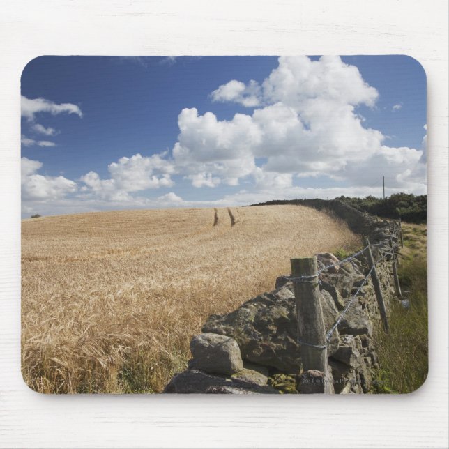 A Barbed Wire Fence Built Along A Stone Fence Mouse Pad (Front)