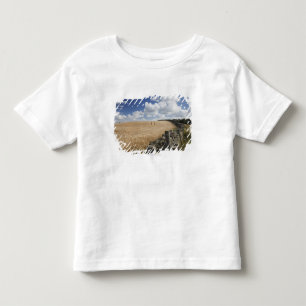 A Barbed Wire Fence Built Along A Stone Fence Toddler T-shirt