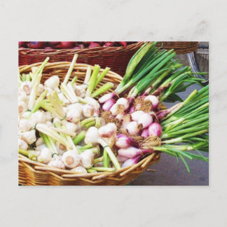 A basket of GARLIC - Naples, Italy Postcard