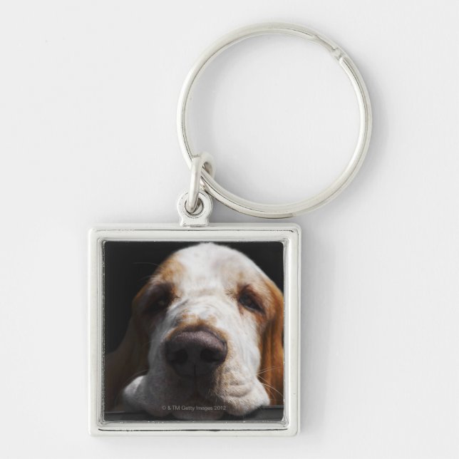 A Basset Hound resting his head Keychain (Front)