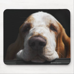 A Basset Hound resting his head Mouse Pad