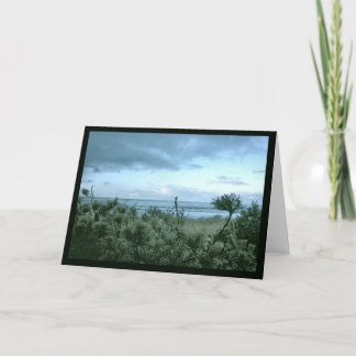 A Beach Pine Evening Card