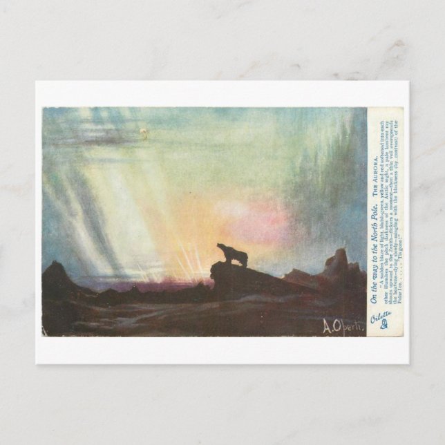 A Bear on his Way Postcard (Front)
