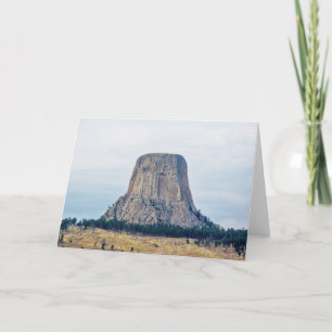 A Bear's Home Card