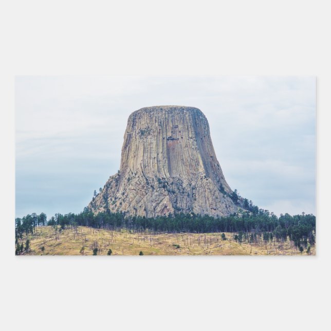 A Bear's Home Sticker (Front)