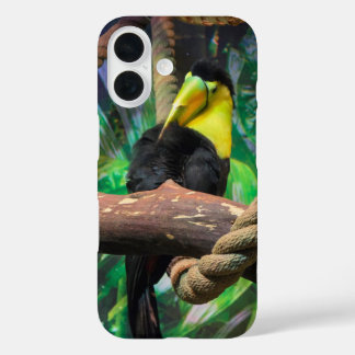 a beautiful black and yellow Toucan iPhone 16 Case