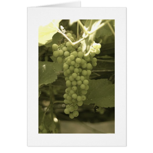 A beautiful bunch of grapes (Front)