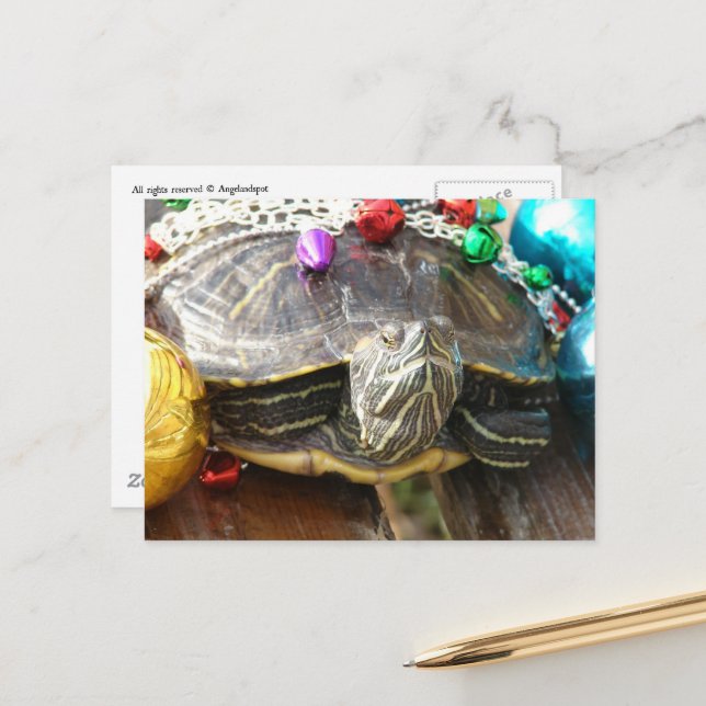 A Beautiful Christmas Turtle Postcard (Front/Back In Situ)