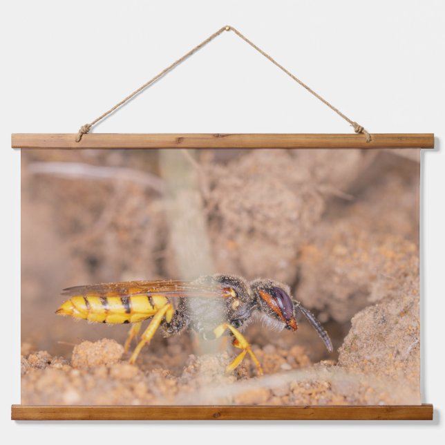 A beautiful close-up photograph of a wasp hanging tapestry (Front)