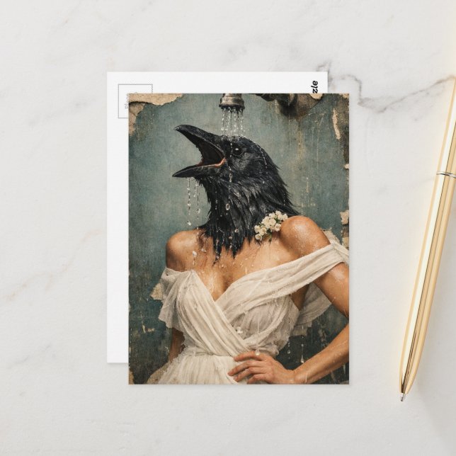 A Beautiful Crow in the Shower Postcard (Front/Back In Situ)