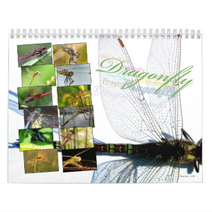 A+ Beautiful Dragonflies Wall Calendar