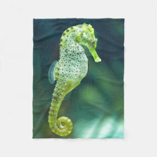 A Beautiful Knysna Seahorse Fleece Blanket