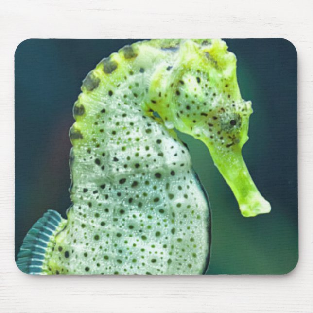 A Beautiful Knysna Seahorse Mouse Pad (Front)