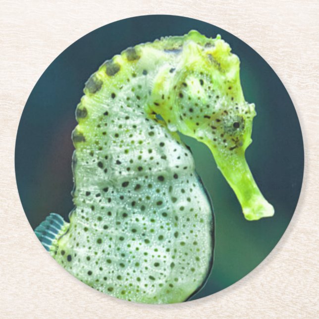 A Beautiful Knysna Seahorse Round Paper Coaster (Front)