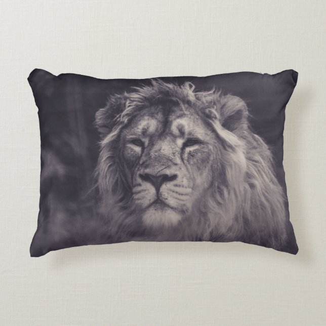 A BEAUTIFUL LION AT PARKEN ZOO SWEDEN ACCENT PILLOW (Front)