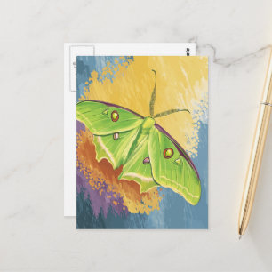 A Beautiful Moth Postcard