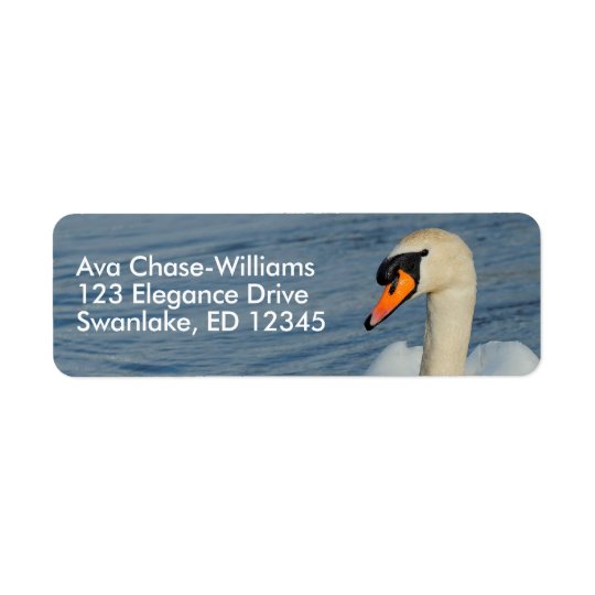 A Beautiful Mute Swan Approaches Return Address Label