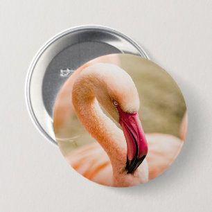 A Beautiful Pink Flamingo 3 Inch Round Button