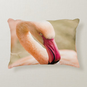 A Beautiful Pink Flamingo Accent Pillow