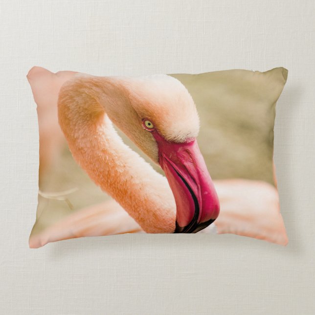 A Beautiful Pink Flamingo  Accent Pillow (Front)