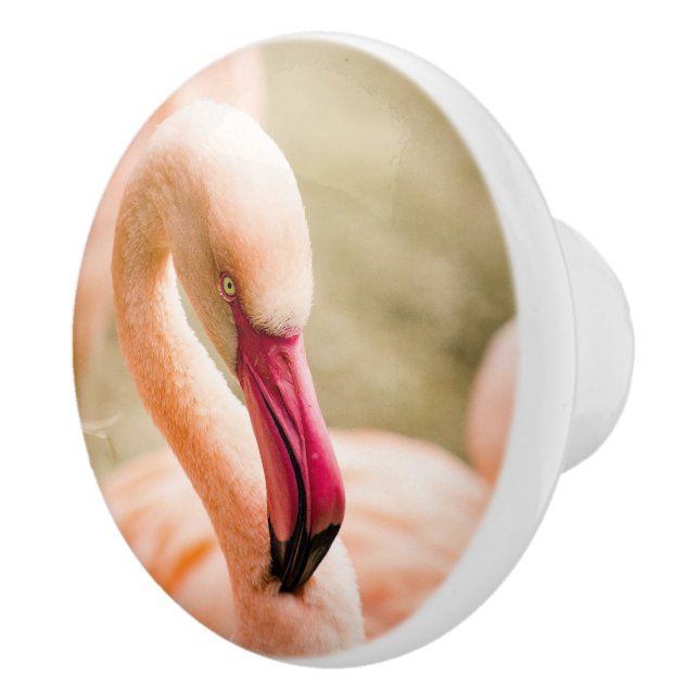 A Beautiful Pink Flamingo  Ceramic Knob (Right)