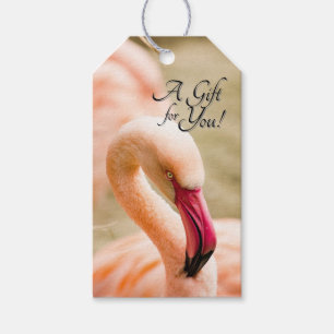 A Beautiful Pink Flamingo  Gift Tags