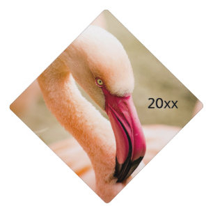 A Beautiful Pink Flamingo Graduation Cap Topper