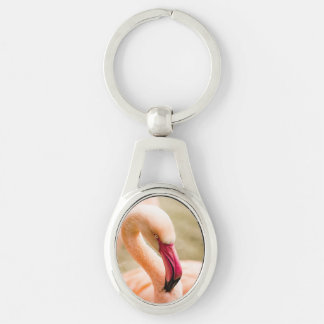 A Beautiful Pink Flamingo Keychain