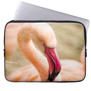 A Beautiful Pink Flamingo  Laptop Sleeve
