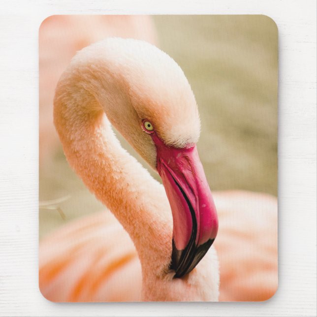 A Beautiful Pink Flamingo  Mouse Pad (Front)